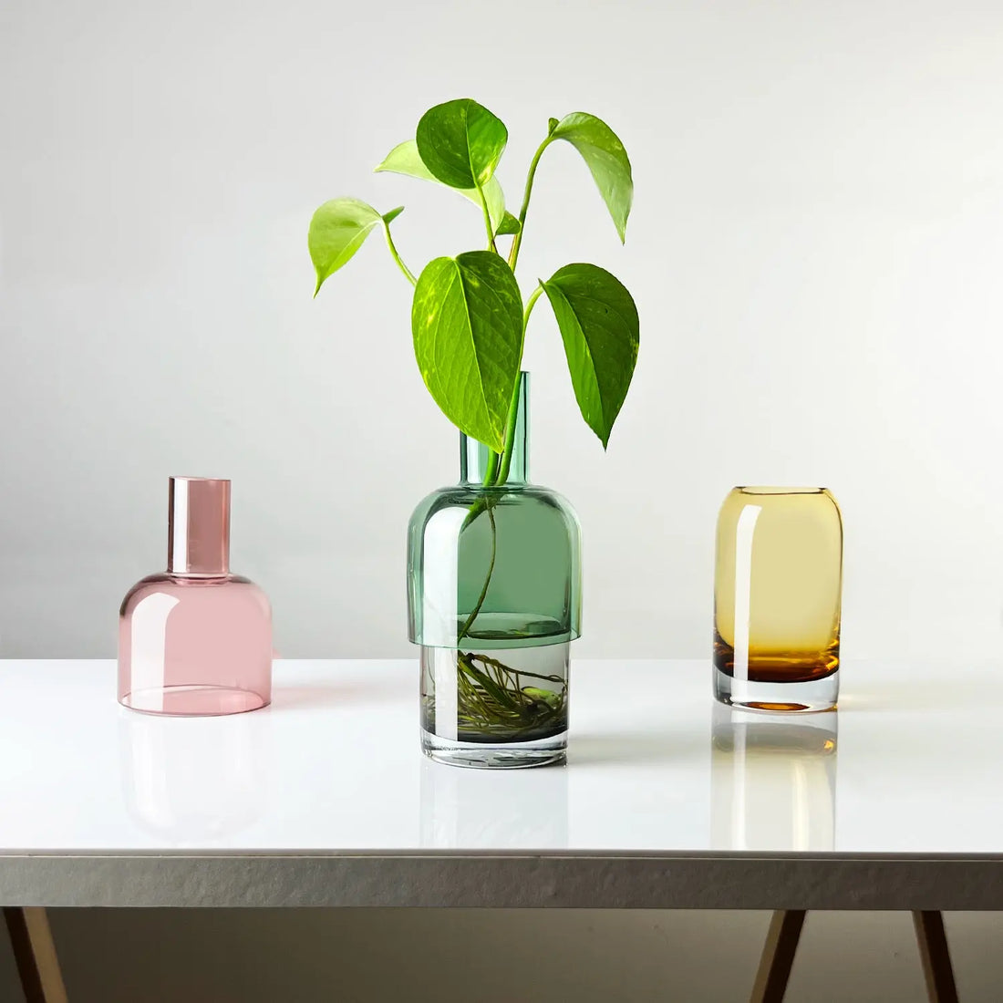Unlocking-the-Potential-Using-the-Cloudnola-Flip-Vase-as-a-Propagating-Vase-and-Flipping-it-for-Versatility Cloudnola