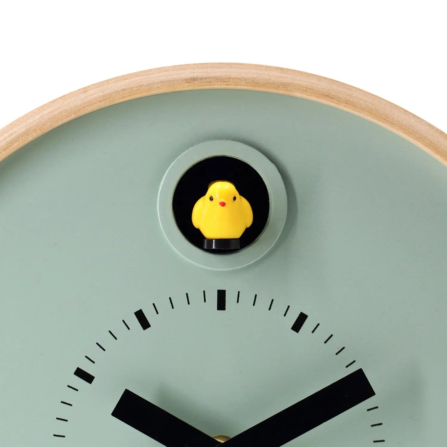 Cuckoo Clock Dot – Sage Green with Stand | Cloudnola Cloudnola