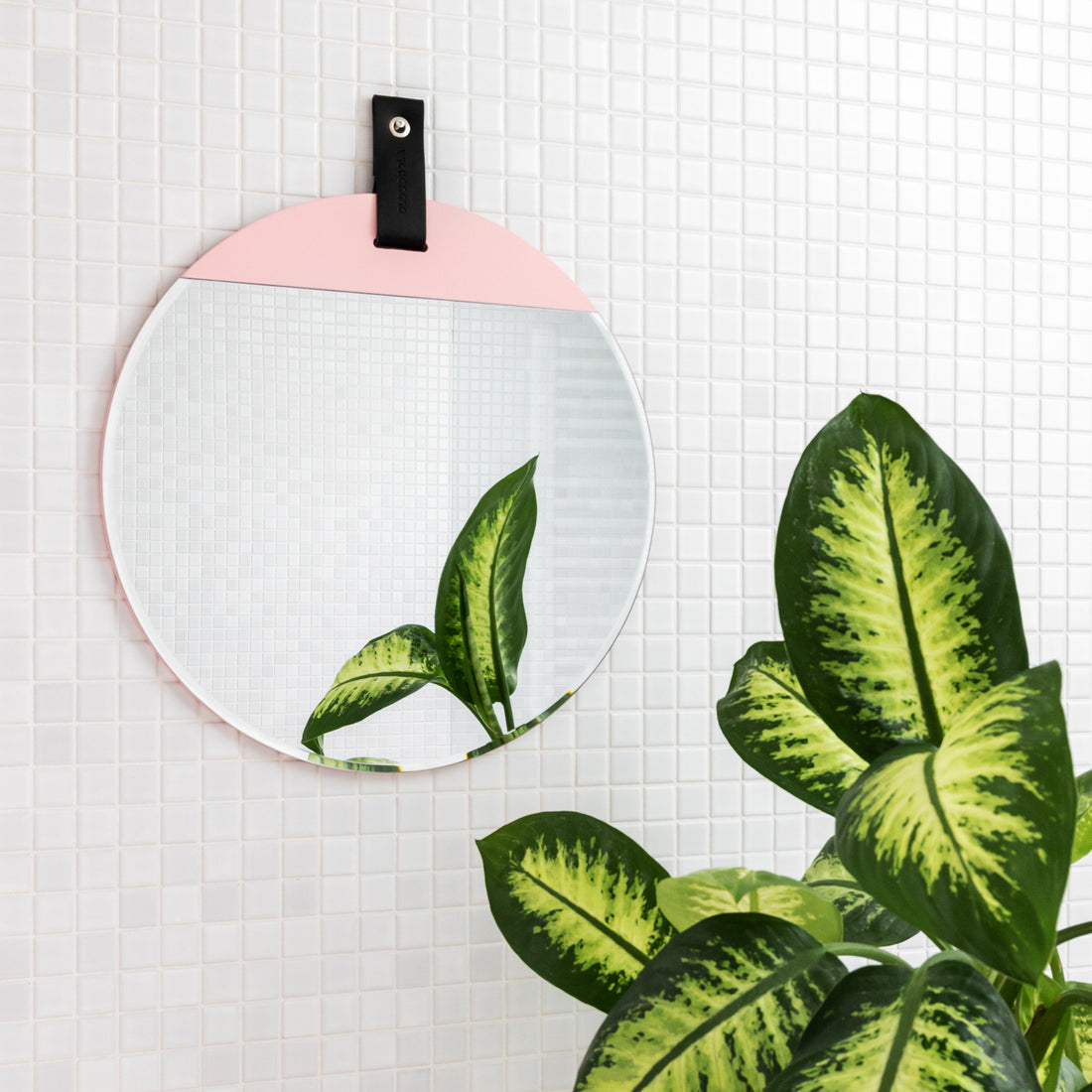 The 12 Best Wall Mirrors of 2022 -The Spruce