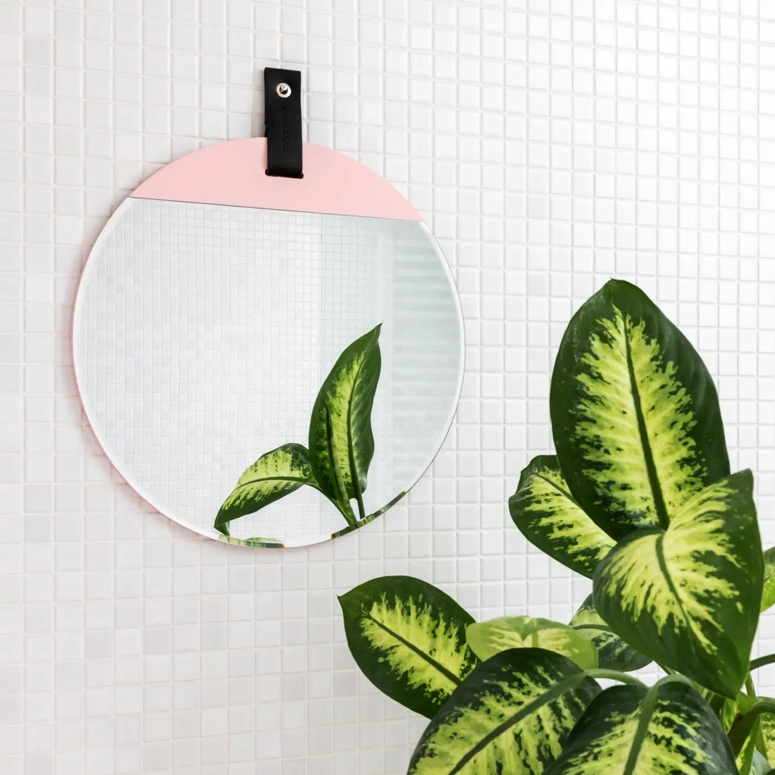 The-12-Best-Wall-Mirrors-of-2022-The-Spruce Cloudnola
