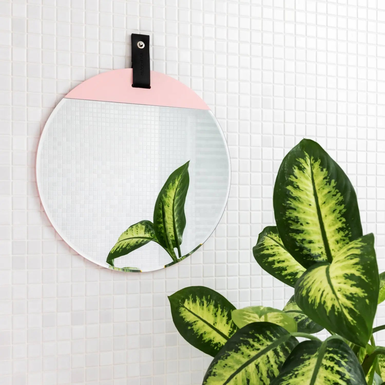 The-12-Best-Wall-Mirrors-of-2022-The-Spruce Cloudnola