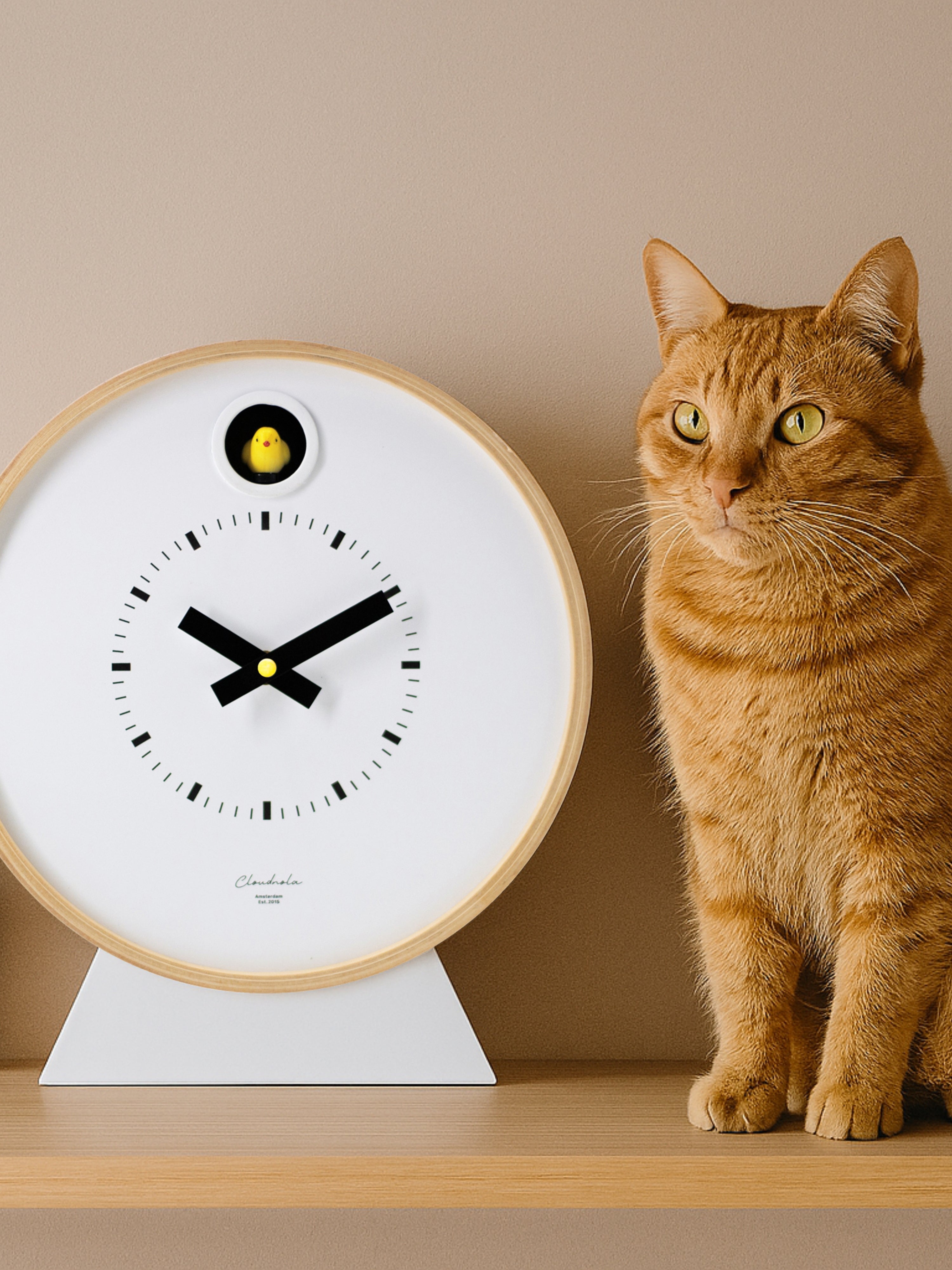 Cloudnola - Functional Art - Modern Decor