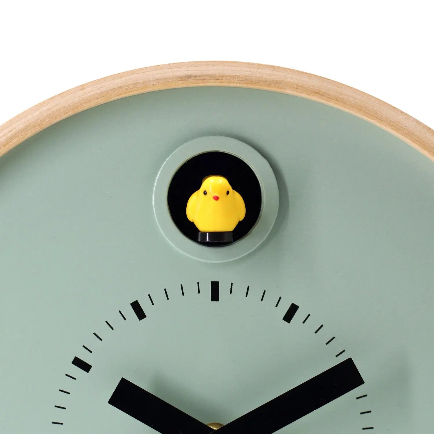 Cuckoo Clock Dot – Sage Green with Stand | Cloudnola Cloudnola